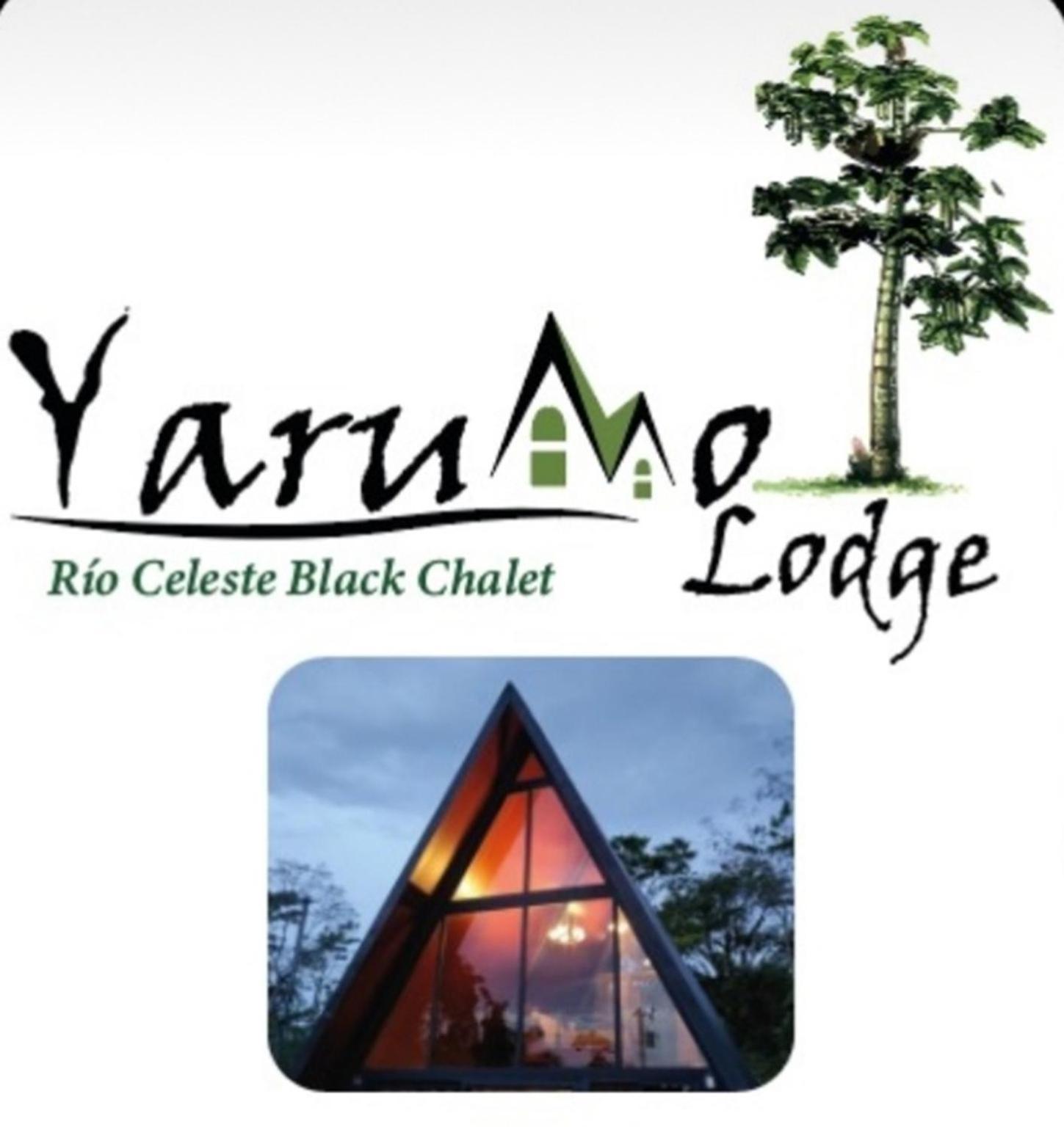 Yarumo Lodge, Rio Celeste Black Chalets Bijagua Esterno foto